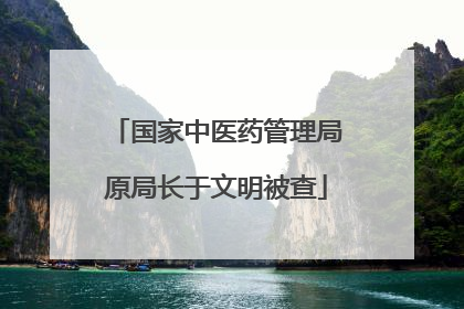 国家中医药管理局原局长于文明被查