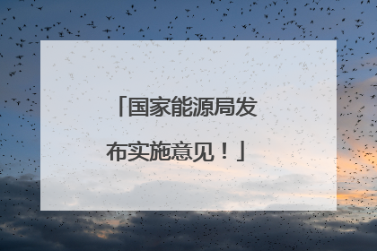 国家能源局发布实施意见！