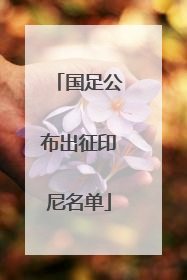 国足公布出征印尼名单