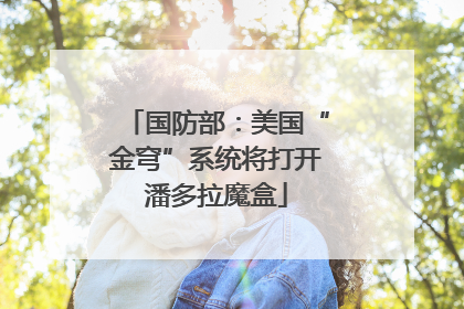 国防部：美国“金穹”系统将打开潘多拉魔盒