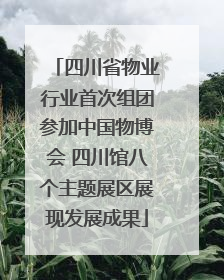 四川省物业行业首次组团参加中国物博会 四川馆八个主题展区展现发展成果