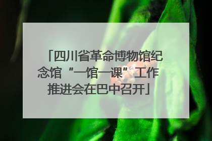 四川省革命博物馆纪念馆“一馆一课”工作推进会在巴中召开