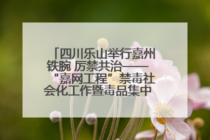 四川乐山举行嘉州铁腕 厉禁共治——“嘉网工程”禁毒社会化工作暨毒品集中销毁启动仪式