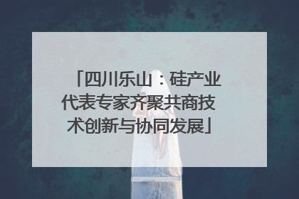 四川乐山：硅产业代表专家齐聚共商技术创新与协同发展