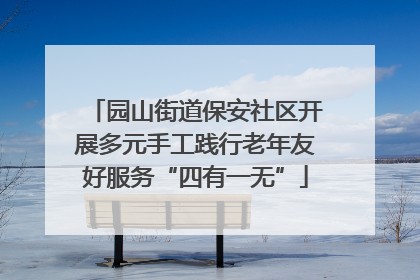 园山街道保安社区开展多元手工践行老年友好服务“四有一无”