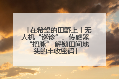 在希望的田野上丨无人机“巡诊”、传感器“把脉” 解锁田间地头的丰收密码