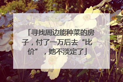 寻找周边能种菜的房子，付了一万后去“比价”，她不淡定了