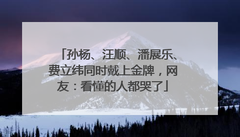 孙杨、汪顺、潘展乐、费立纬同时戴上金牌，网友：看懂的人都哭了