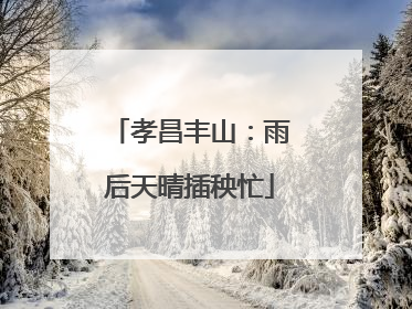 孝昌丰山：雨后天晴插秧忙
