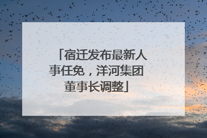 宿迁发布最新人事任免，洋河集团董事长调整