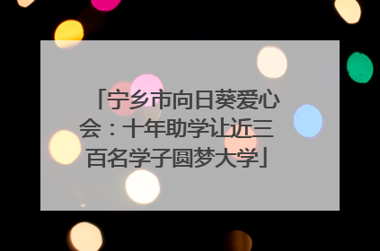 宁乡市向日葵爱心会：十年助学让近三百名学子圆梦大学