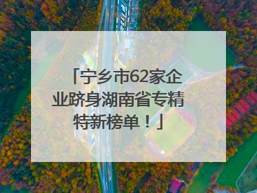 宁乡市62家企业跻身湖南省专精特新榜单！