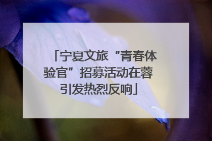 宁夏文旅“青春体验官”招募活动在蓉引发热烈反响