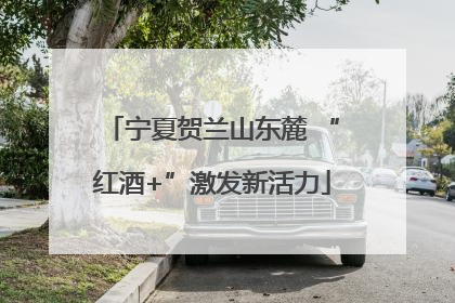 宁夏贺兰山东麓 “红酒+”激发新活力