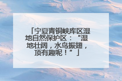 宁夏青铜峡库区湿地自然保护区：“湿地壮阔，水鸟振翅，顶有趣呢！”