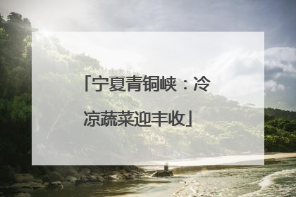宁夏青铜峡：冷凉蔬菜迎丰收