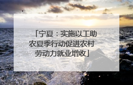 宁夏：实施以工助农夏季行动促进农村劳动力就业增收