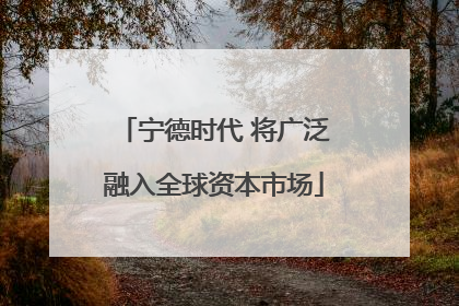 宁德时代 将广泛融入全球资本市场