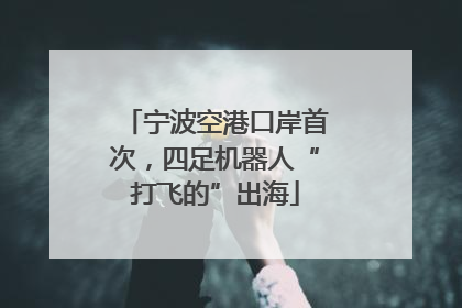 宁波空港口岸首次，四足机器人“打飞的”出海