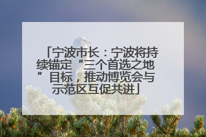 宁波市长：宁波将持续锚定“三个首选之地”目标，推动博览会与示范区互促共进
