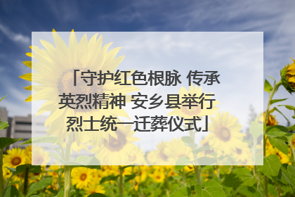 守护红色根脉 传承英烈精神 安乡县举行烈士统一迁葬仪式