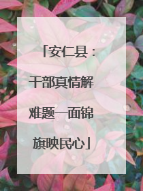 安仁县：干部真情解难题一面锦旗映民心