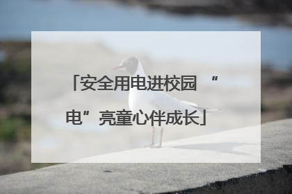 安全用电进校园 “电”亮童心伴成长