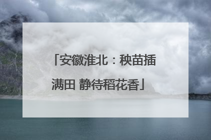 安徽淮北：秧苗插满田 静待稻花香