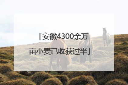 安徽4300余万亩小麦已收获过半