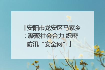 安阳市龙安区马家乡：凝聚社会合力 织密防汛“安全网”
