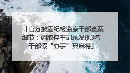 官方披露纪检监察干部查案细节：调取停车记录发现3名干部假“办事”真麻将