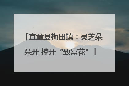 宜章县梅田镇：灵芝朵朵开 撑开“致富花”