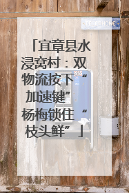 宜章县水浸窝村：双物流按下“加速键” 杨梅锁住“枝头鲜”