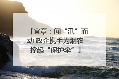 宜章：闻“汛”而动 政企携手为烟农撑起“保护伞”
