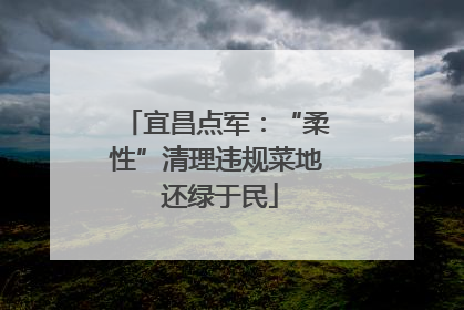 宜昌点军：“柔性”清理违规菜地 还绿于民