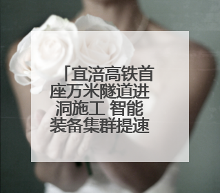宜涪高铁首座万米隧道进洞施工 智能装备集群提速4倍