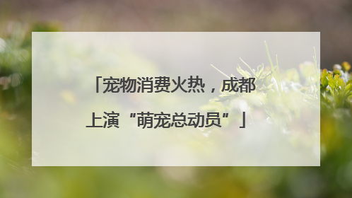 宠物消费火热，成都上演“萌宠总动员”