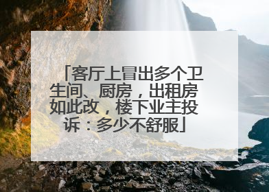 客厅上冒出多个卫生间、厨房，出租房如此改，楼下业主投诉：多少不舒服