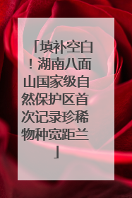 填补空白！湖南八面山国家级自然保护区首次记录珍稀物种宽距兰