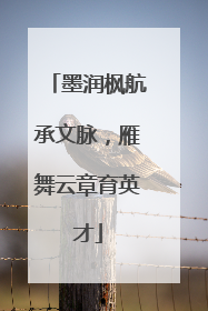 墨润枫航承文脉，雁舞云章育英才