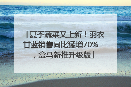 夏季蔬菜又上新！羽衣甘蓝销售同比猛增70%，盒马新推升级版