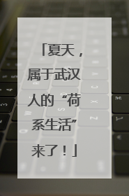 夏天，属于武汉人的“荷系生活”来了！