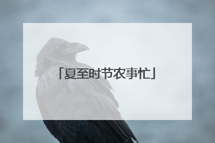 夏至时节农事忙