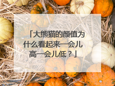大熊猫的颜值为什么看起来一会儿高一会儿低？