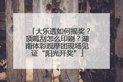 大乐透如何摇奖？顶呱刮怎么印刷？湖南体彩观摩团现场见证“阳光开奖”
