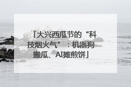 大兴西瓜节的“科技烟火气”：机器狗搬瓜、AI摊煎饼