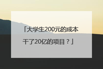 大学生200元的成本干了20亿的项目？