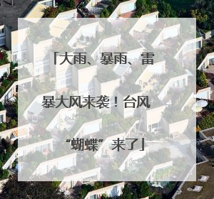 大雨、暴雨、雷暴大风来袭！台风“蝴蝶”来了