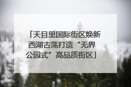 天目里国际街区焕新 西湖古荡打造“无界公园式”高品质街区