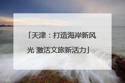 天津：打造海岸新风光 激活文旅新活力